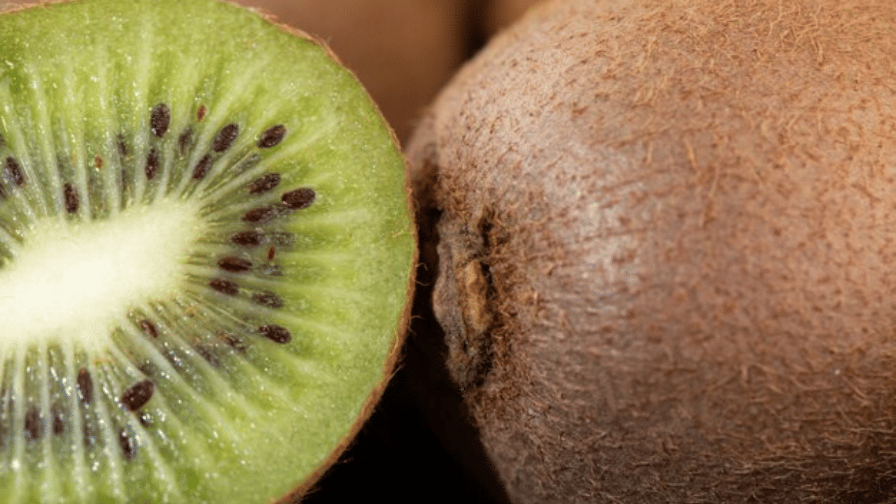 അലർജിയുള്ളവർ കിവിയുടെ തൊലി കളഞ്ഞ് തന്നെ കഴിക്കുക. ഒരു കിവിയിൽ മനുഷ്യന് ആവശ്യമായി വിറ്റാമിൻ സിയുടെ 80 ശതമാനവും അടങ്ങിയിരിക്കുന്നു. നാരുകൾ, ആൻ്റിഓക്സിഡൻ്റുകൾ, വിറ്റാമിൻ കെ എന്നിവയുടെ മികച്ച ഉറവിടം കൂടിയാണ് അവ. (Image Credits: Freepik)