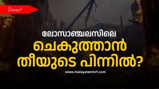 Angelina Jolie: കൈതാങ്ങായി നടി ആഞ്ജലീന ജോളി; കാട്ടുതീയിൽ വീടുനഷ്ടപ്പെട്ടവരെ സ്വന്തംവീട്ടിൽ താമസിപ്പിച്ച് താരം