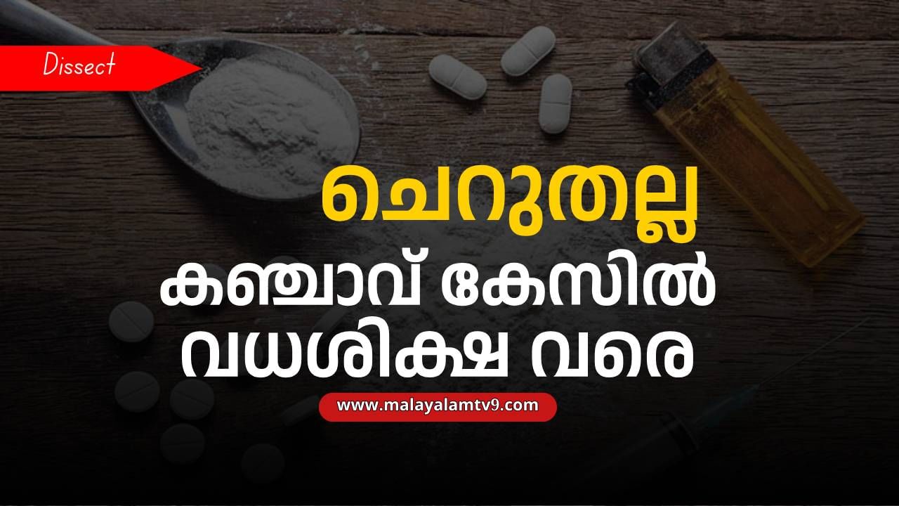 NDPS Act: കഞ്ചാവ് കേസിൽ വധശിക്ഷ വരെ കിട്ടാം, 30 വർഷം വരെ തടവ്; രക്ഷപെടാനും എളുപ്പം