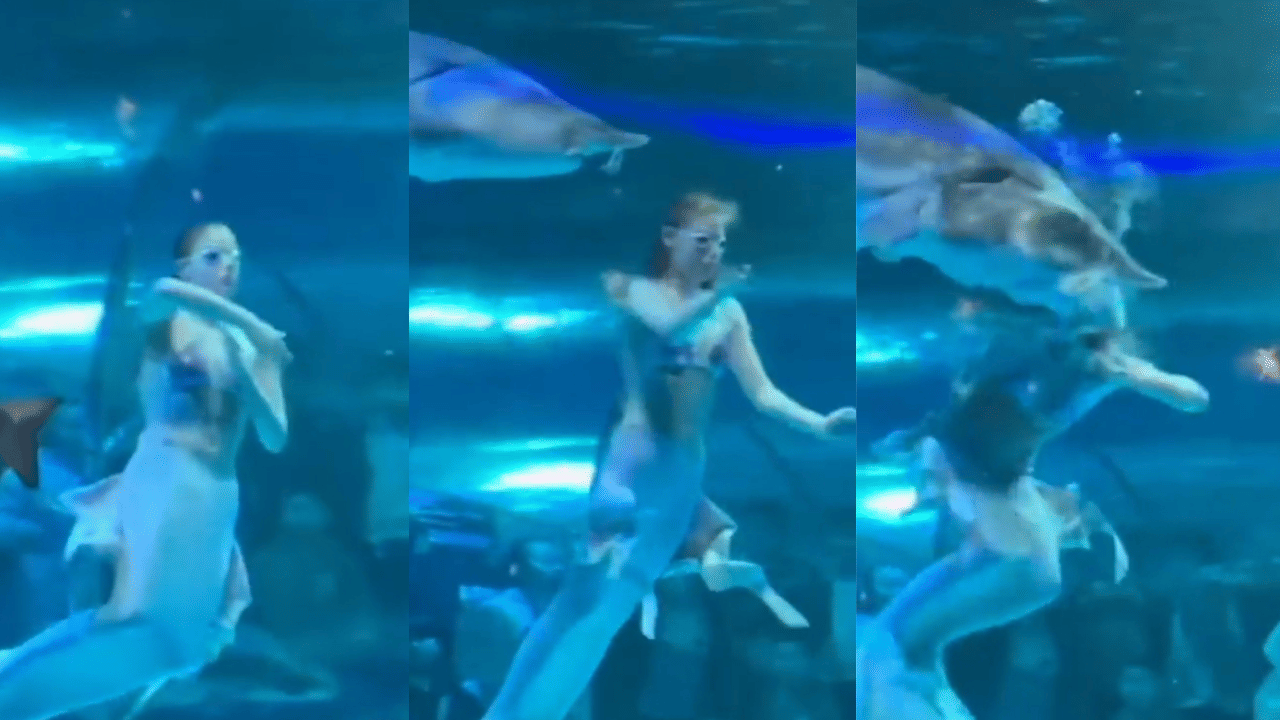 Viral Video: അക്വേറിയത്തിലെ മത്സ്യകന്യകയുടെ തല വായ്ക്കുള്ളിലാക്കി വലിയ മത്സ്യം; ഭയന്ന് കാണികൾ, വീഡിയോ വൈറൽ