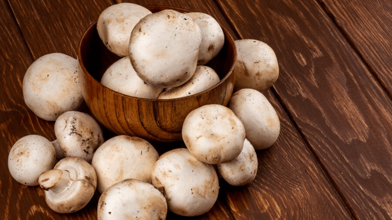 Edible Mushrooms: കാണുന്ന കൂണെല്ലാം കഴിക്കാമോ? ഇവ എങ്ങനെ തിരിച്ചറിയാം, ഗുണങ്ങൾ എന്തെല്ലാം? Edible Mushrooms: കാണുന്ന കൂണെല്ലാം കഴിക്കാമോ? ഇവ എങ്ങനെ തിരിച്ചറിയാം, ഗുണങ്ങൾ എന്തെല്ലാം?