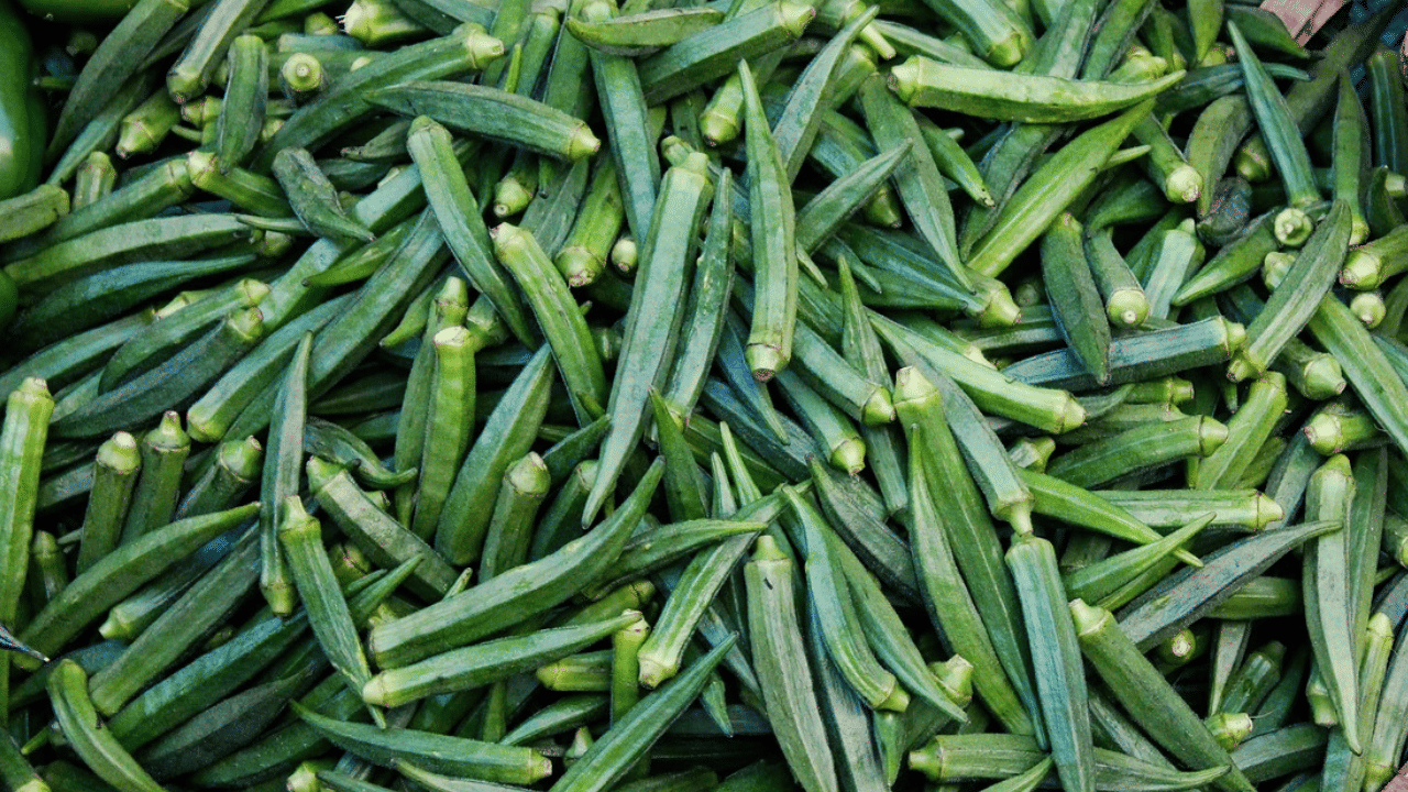 വിറ്റാ​മി​ൻ സിയുടെ ഉറവിടമായ വെണ്ടയ്ക്ക ഡയറ്റിൽ ഉൾപ്പെടുത്തുന്നത് രോഗപ്രതിരോധശേഷി വർധിപ്പിക്കാൻ വളരെ നല്ലതാണ്. കൂടാതെ ഗ്യാസ്, മലബന്ധം ഉൾപ്പടെയുള്ള ദഹന പ്രശ്നങ്ങൾ അകറ്റി നിർത്താനും ഇത് മികച്ചതാണ്. വെണ്ടയ്ക്കയിൽ അടങ്ങിയിട്ടുള്ള വിറ്റാമിൻ എ കണ്ണുകളുടെ ആരോഗ്യത്തിനും വളരെ നല്ലതാണ്. (Image Credits: Pixabay)