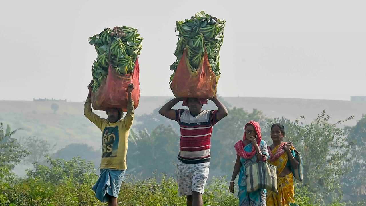 PM Kisan Yojana: പ്രധാനമന്ത്രിയുടെ 2000 ആർക്കൊക്കെ? പിഎം കിസാൻ ഉടൻ