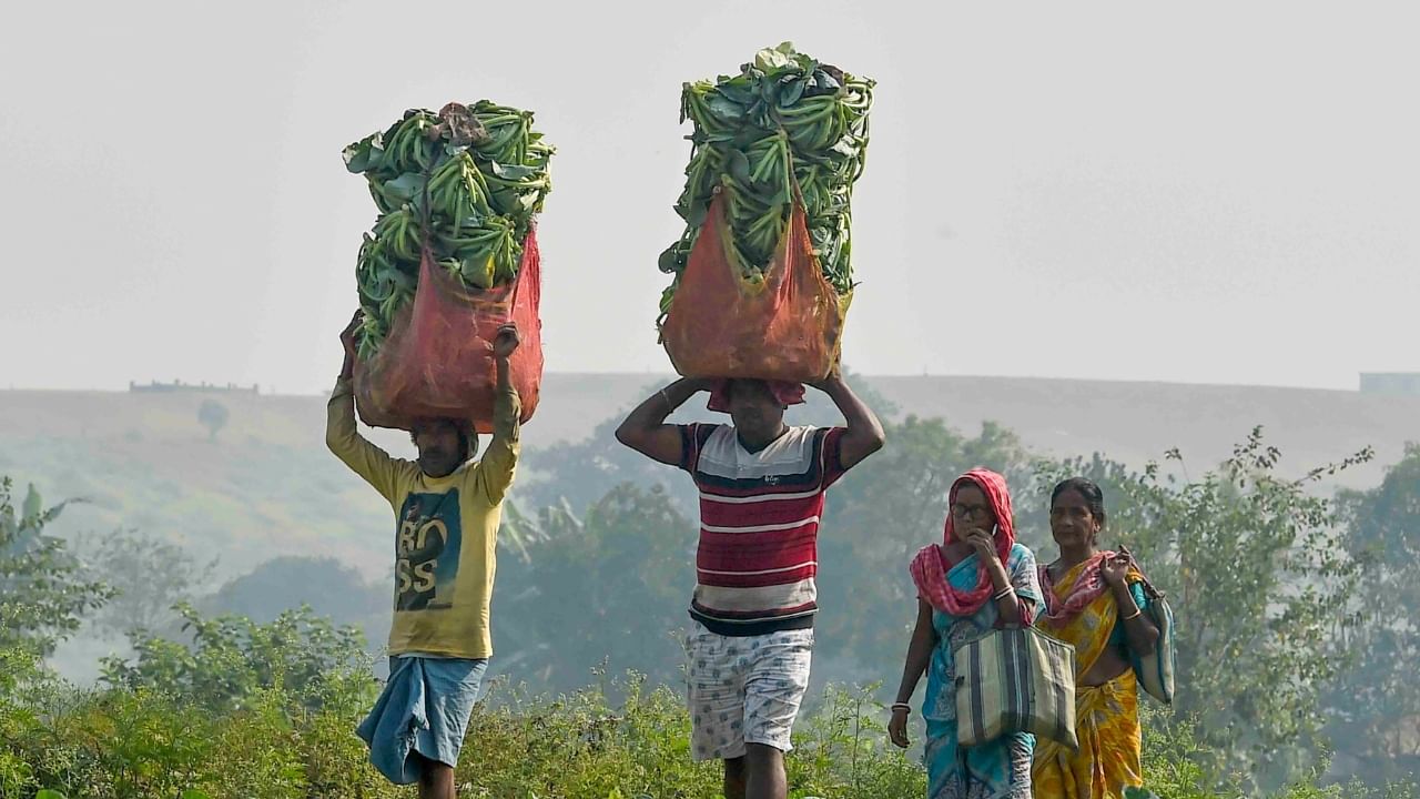 PM Kisan Yojana: പ്രധാനമന്ത്രിയുടെ 2000 ആർക്കൊക്കെ? പിഎം കിസാൻ ഉടൻ