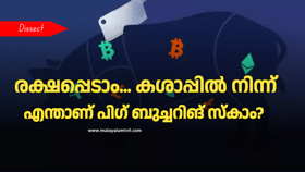 Pig Butchering Scam: ഡിജിറ്റൽ അറസ്റ്റില്ല ഇനി ‘പിഗ് ബുച്ചറിങ് സ്‌കാം’: മുന്നറിയിപ്പുമായി കേന്ദ്രം, എന്താണ് പന്നിക്കശാപ്പ് തട്ടിപ്പ്?