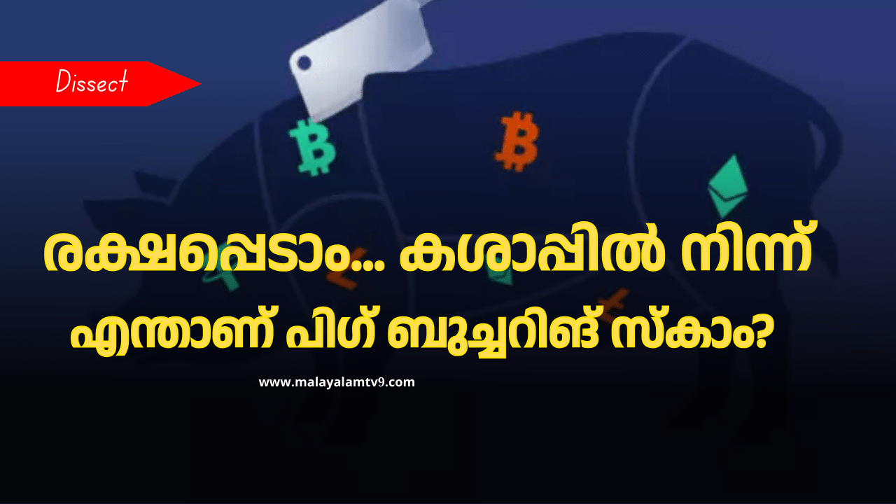 Pig Butchering Scam: ഡിജിറ്റൽ അറസ്റ്റില്ല ഇനി പിഗ് ബുച്ചറിങ് സ്‌കാം: മുന്നറിയിപ്പുമായി കേന്ദ്രം, എന്താണ് പന്നിക്കശാപ്പ് തട്ടിപ്പ്?