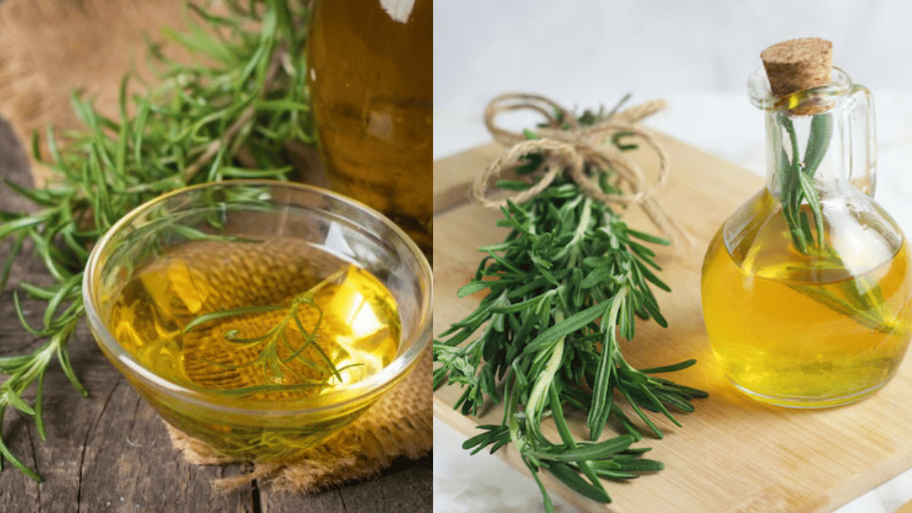 Rosemary Oil Benefits: കാൻസറിനെ തടുക്കാനും ബുദ്ധിവളർച്ചയ്ക്കും റോസ്മേരി ഓയിൽ; അറിയാം മറ്റ് ഗുണങ്ങളെക്കുറിച്ച് Rosemary Oil Benefits: കാൻസറിനെ തടുക്കാനും ബുദ്ധിവളർച്ചയ്ക്കും റോസ്മേരി ഓയിൽ; അറിയാം മറ്റ് ഗുണങ്ങളെക്കുറിച്ച്