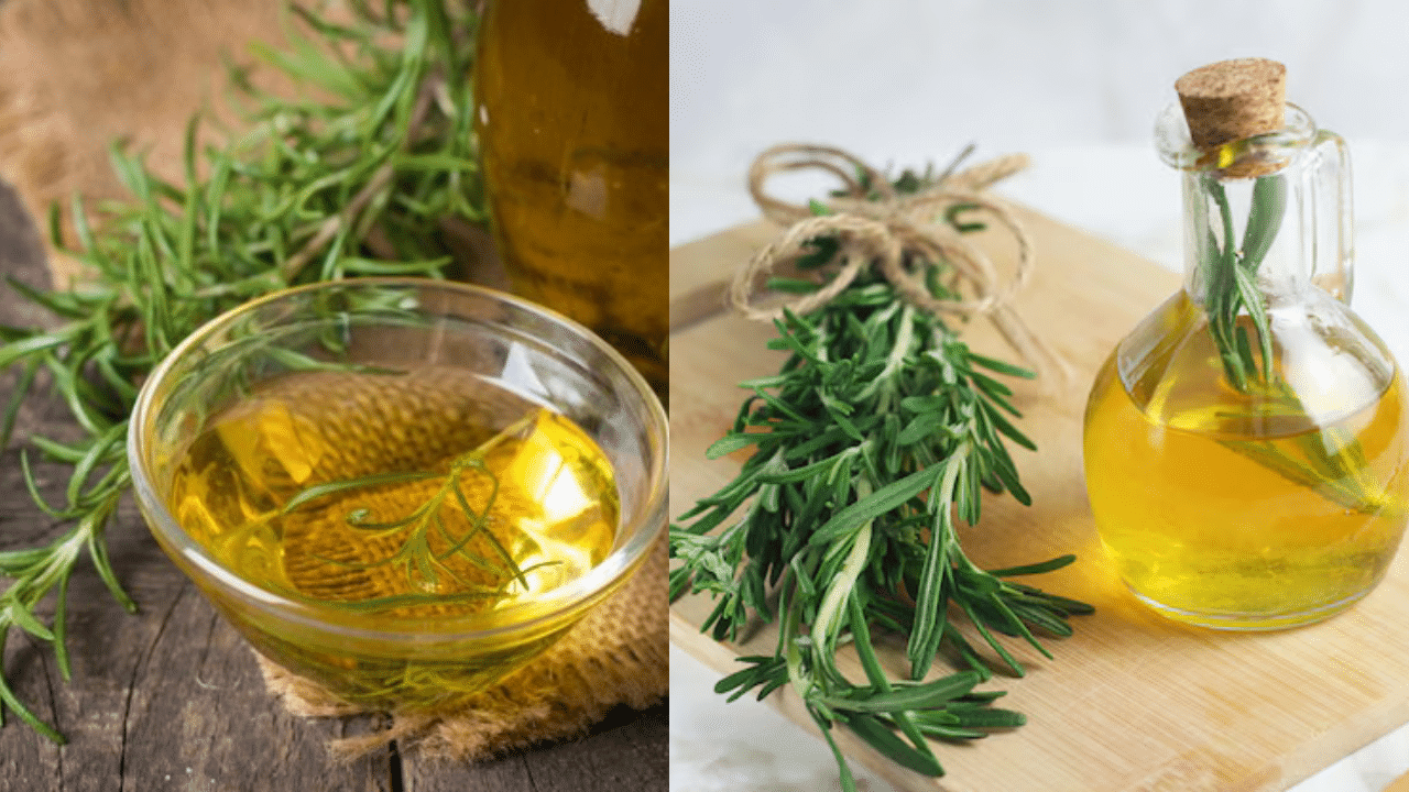 Rosemary Oil Benefits: കാൻസറിനെ തടുക്കാനും ബുദ്ധിവളർച്ചയ്ക്കും റോസ്മേരി ഓയിൽ; അറിയാം മറ്റ് ​ഗുണങ്ങളെക്കുറിച്ച്