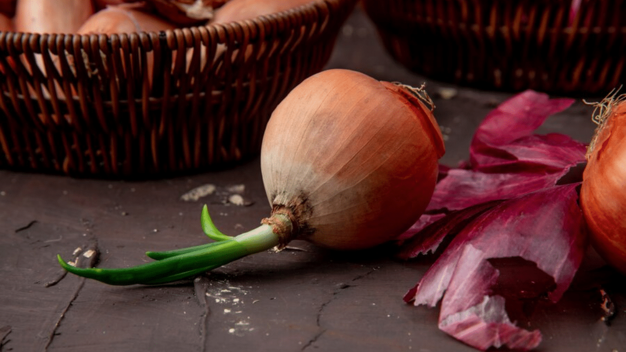 Sprouted Onions