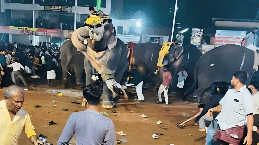 Tirur Angadi Nercha: തിരൂർ ബി.പി. അങ്ങാടി നേർച്ചയ്ക്കിടെ ആന ഇടഞ്ഞു;17 പേർക്ക് പരിക്ക്