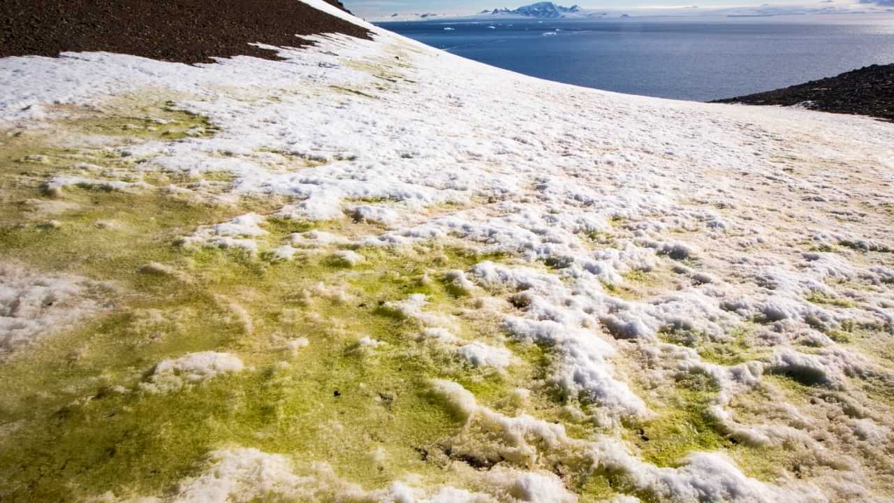 UAE Weather : യുഎഇയിൽ തണുപ്പ് വർധിയ്ക്കുന്നു; ശനിയാഴ്ചയിലെ ഏറ്റവും കുറഞ്ഞ താപനില 1.9 ഡിഗ്രി സെൽഷ്യസ്