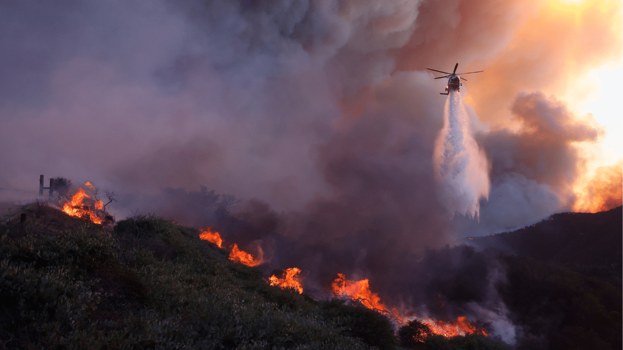 US Wild Fire: അമേരിക്കയിൽ വീണ്ടും കാട്ടുതീ; രണ്ട് മണിക്കൂറിൽ 5000 ഏക്കർ തീ വിഴുങ്ങി