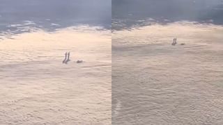 Happy New Year 2025: സ്വാ​ഗതം 2025! ലോകമെങ്ങും പുതുവത്സരാഘോഷം, വരവേറ്റ് ജനങ്ങൾ