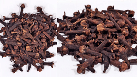 Clove Benefits: ദിവസവും ഒരു ഗ്രാമ്പൂ ചവച്ച് കഴിക്കൂ… ശരീരത്തിനുണ്ടാകുന്ന മാറ്റങ്ങൾ എന്തെല്ലാമെന്ന് അറിയാം