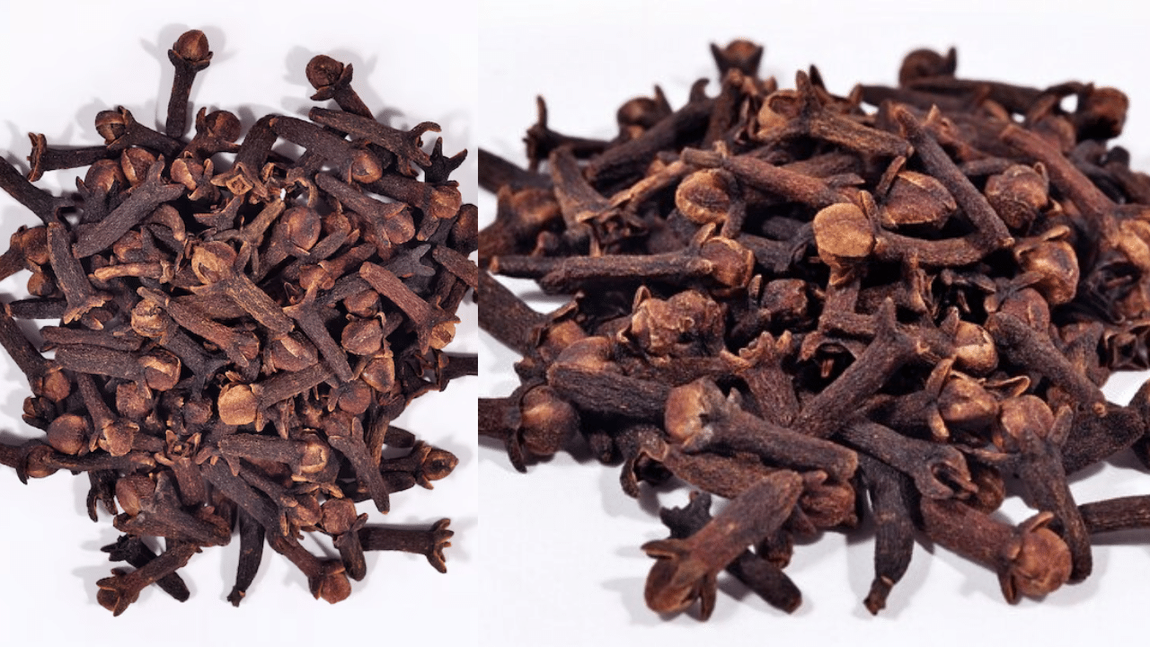 Clove Benefits: ദിവസവും ഒരു ഗ്രാമ്പൂ ചവച്ച് കഴിക്കൂ... ശരീരത്തിനുണ്ടാകുന്ന മാറ്റങ്ങൾ എന്തെല്ലാമെന്ന് അറിയാം