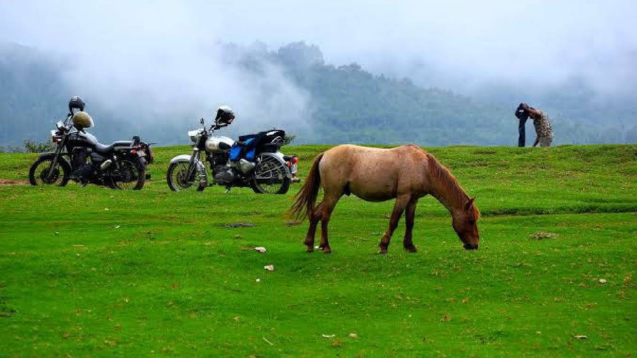 തണുപ്പെന്ന് കേൾക്കുമ്പോൾ ആദ്യം മനസ്സിൽ ചെന്നെത്തുന്ന സ്ഥലം തമിഴ്നാട്ടിലെ കൊടൈക്കനാൽ ആണ്. വേനൽ കാലത്ത് പോകാൻ പറ്റിയ ഏറ്റവും അനുയോജ്യമായ സ്ഥലമാണ് കൊടൈക്കനാൽ. (image credits:facebook)