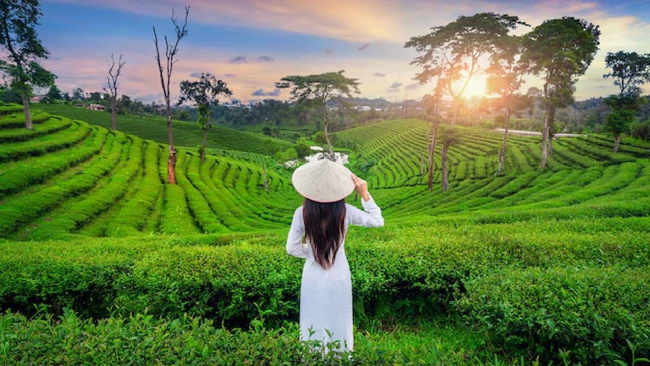 വേനൽ കാലമായി, ചൂട് കൂടുന്നു. വെയിലത്ത് പുറത്ത് ഇറങ്ങാൻ പറ്റാത്ത സ്ഥിതി.. ഇതാണോ ഇപ്പോഴത്തെ നിങ്ങളുടെ അവസ്ഥ? എന്നാൽ പെട്ടെന്ന് പെട്ടി തയ്യാറാക്കി വിട്ടോ.. എവിടേക്ക് എന്നല്ലേ. മനസ്സും ശരീരവും ഒരു പോലെ കുളിർപ്പിക്കുന്ന കുറച്ച് സ്ഥലത്തേക്ക്. നോക്കാം ഏറ്റവും ഉചിതമായ തണുപ്പൻ പ്രദേശങ്ങൾ. (image credits:facebook)