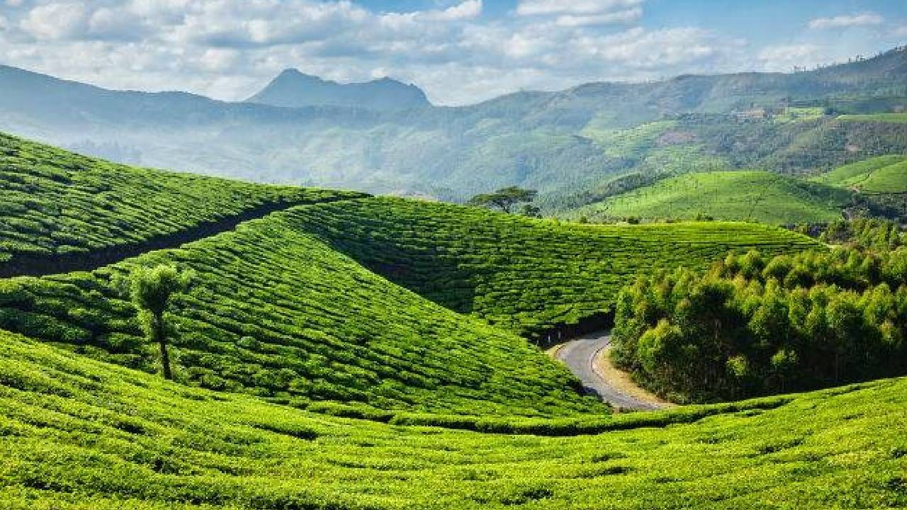 കേരളത്തിലെ പ്രധാന വിനോദ സഞ്ചാര കേന്ദ്രമാണ്  ഇടുക്കിയിലെ മൂന്നാർ. സംസ്ഥാനത്തെ  മറ്റിടങ്ങളിൽ കനത്ത ചൂട് രേഖപ്പെടുത്തുമ്പോൾ മൂന്നാറില്‍ താപനില പൂജ്യത്തിലാണ്. ഇതോടെ വിദേശികൾ അടിക്കം നിരവധി പേരാണ് സ്ഥലം സന്ദർശിക്കാൻ എത്തുന്നത്. പ്രദേശത്തെ പുല്‍മേടുകളില്‍ വ്യാപകമായി മഞ്ഞുവീണ നിലയിലാണ്.  (image credits:facebook)