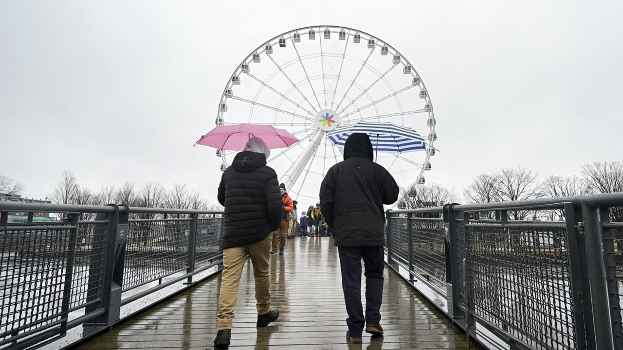 ഹൃദയാരോഗ്യം മെച്ചപ്പെടുത്താനും, ശരീരഭാരം നിയന്ത്രിക്കാനും, പേശികളും എല്ലുകളും ശക്തിപ്പെടുത്താനും നടത്തം ഉപകരിക്കും. മാനസിക സമ്മര്‍ദ്ദം കുറയ്ക്കുന്നതിനും മാനസികാവസ്ഥ മെച്ചപ്പെടുത്തുന്നതിനും ഇത് പ്രയോജനപ്രദമാണ്. ചുരുക്കിപ്പറഞ്ഞാല്‍ മികച്ച ഒരു വര്‍ക്ക്ഔട്ട് ഓപ്ഷനാണിത് (Image Credits : PTI)