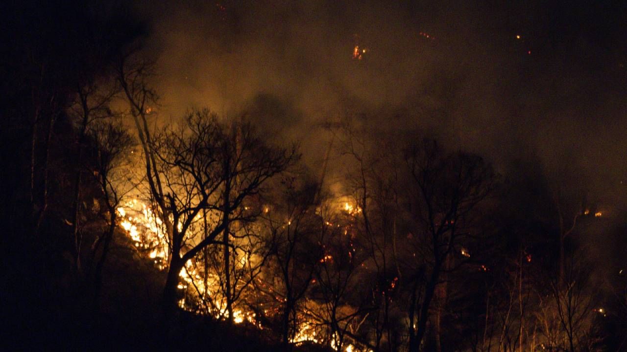 Wildfires in Los Angeles: ലോസ് ആഞ്ചൽസിലെ കാട്ടു തീ; 1.5 ലക്ഷം പേരെ ഒഴിപ്പിച്ചു; ഭീതിയിൽ ഹോളിവുഡ് താരങ്ങളും; ഓസ്കർ നോമിനേഷൻ മാറ്റി