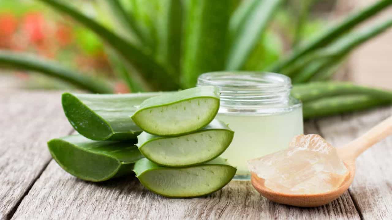 Face Care: അങ്ങനെ വെറുതെ ഉപയോഗിച്ചാല്‍ പോരാ; മുഖം തിളങ്ങാന്‍ കറ്റാര്‍വാഴ ഉപയോഗിക്കേണ്ട രീതികള്‍