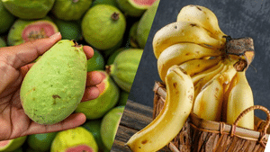 Guava VS Banana: പേരയ്ക്കയോ വാഴപ്പഴമോ? ഏതാണ് ആരോഗ്യത്തിന് ഏറ്റവും മികച്ചത്?