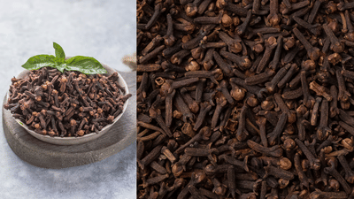 Clove Water Benefits: ഉറങ്ങുന്നതിനുമുമ്പ് ​ഗ്രൂമ്പുവിട്ട വെള്ളം കുടിച്ചുനോക്കൂ; ഈ മാറ്റങ്ങൾ നിങ്ങളെ അത്ഭുതപ്പെടുത്തും