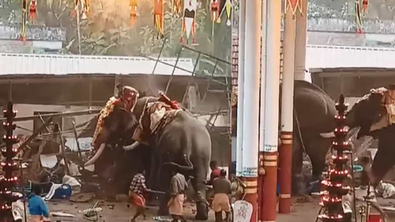 Elephant Attack Koyilandi: ആന ഇടഞ്ഞത് പടക്കം പൊട്ടുന്ന ശബ്ദം കേട്ട്, പൊലിഞ്ഞത് മൂന്ന് ജീവനുകള്; കൊയിലാണ്ടിയില് 9 വാര്ഡുകളില് ഇന്ന് ഹര്ത്താല് Elephant Attack Koyilandi: ആന ഇടഞ്ഞത് പടക്കം പൊട്ടുന്ന ശബ്ദം കേട്ട്, പൊലിഞ്ഞത് മൂന്ന് ജീവനുകള്; കൊയിലാണ്ടിയില് 9 വാര്ഡുകളില് ഇന്ന് ഹര്ത്താല്