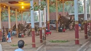 V D Satheesan : കോട്ടയത്തെ റാഗിങ്; ക്രിമിനലുകള്‍ക്ക് സിപിഎം ഇനിയെങ്കിലും സംരക്ഷണം നല്‍കരുതെന്ന് പ്രതിപക്ഷ നേതാവ്; ‘പൂക്കോട്’ മറന്നിട്ടില്ലെന്ന് കുറിപ്പ്‌