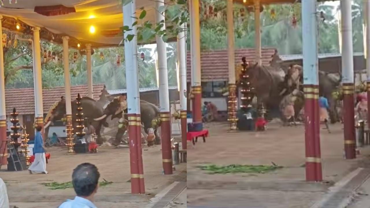 Elephant Attack Koyilandi:  കൊയിലാണ്ടിയിൽ ഉത്സവത്തിനിടെ ആന ഇടഞ്ഞു: രണ്ട് പേര്‍ മരിച്ചു; നിരവധി പേര്‍ക്ക് പരിക്ക്