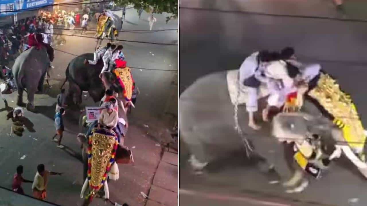 Elephant Turns Violent: പട്ടാമ്പി നേർച്ചക്കിടെ ആന വിരണ്ടോടി; ഒരാൾക്ക് ഗുരുതര പരിക്ക് Elephant Turns Violent: പട്ടാമ്പി നേർച്ചക്കിടെ ആന വിരണ്ടോടി; ഒരാൾക്ക് ഗുരുതര പരിക്ക്
