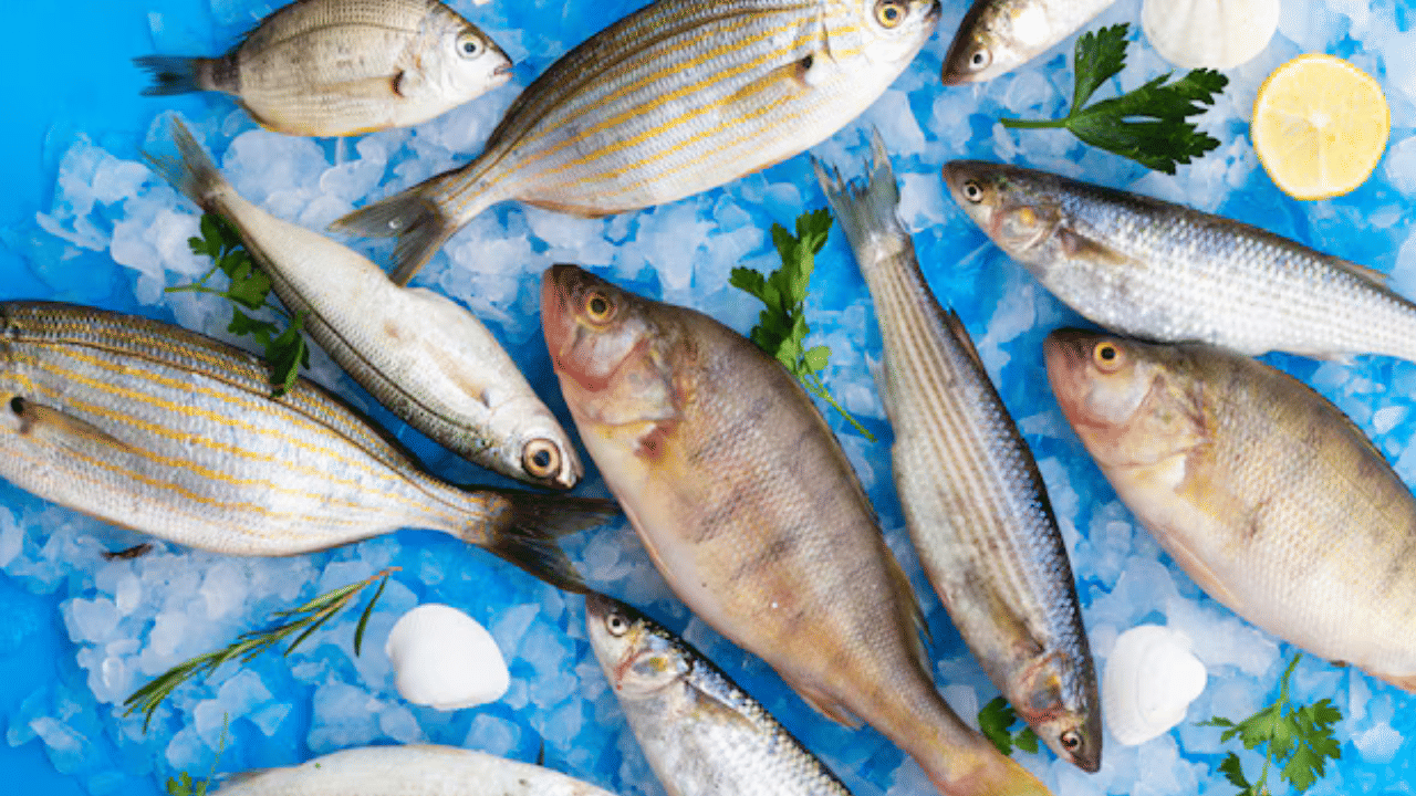 ശരീരഭാരം കുറയ്ക്കാൻ ആഗ്രഹിക്കുന്ന ഏതൊരാൾക്കും മത്സ്യം ഒരു മികച്ച മാർ​ഗമാണ്. കാരണം ഇവയിൽ കലോറി കുറവാണ്, പ്രോട്ടീൻ സമ്പുഷ്ടവും. കൂടാതെ ശരീരഭാരം കുറയ്ക്കാൻ സഹായിക്കുന്ന ആരോഗ്യകരമായ കൊഴുപ്പുകളും ഇതിൽ അടങ്ങിയിരിക്കുന്നു. ഭാരം കുറയ്ക്കാൻ ആ​ഗ്രഹിക്കുന്നവർ,  ഭക്ഷണത്തിൽ ഉൾപ്പെടുത്തേണ്ട് ചില മത്സ്യങ്ങൾ ഏതെല്ലാമെന്ന് നോക്കാം. 