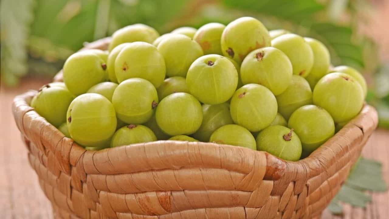 Health Benefits of Amla: മുടിയ്ക്ക് കരുത്തേകാന്‍ നെല്ലിക്ക മതി; നരയും കൊഴിച്ചിലും പരിഹരിക്കും ദിവസങ്ങള്‍ക്കുള്ളില്‍
