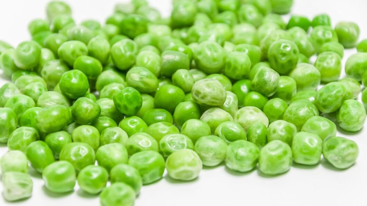 ഗ്രീന്‍പീസ്- ഗ്രീന്‍പീസില്‍ ധാരാളം പ്രോട്ടീന്‍ അടങ്ങിയിട്ടുണ്ട്. ഒരു കപ്പ് വേവിച്ച ഗ്രീന്‍പീസില്‍ 8 ഗ്രാം പ്രോട്ടീനാണുള്ളത്. മുട്ടയില്‍ ഉള്ളതിനേക്കാള്‍ പ്രോട്ടീന്‍ ഗ്രീന്‍പീസിലുണ്ട്. 100 ഗ്രാം ഗ്രീന്‍പീസില്‍ 5 ഗ്രാം പ്രോട്ടീനുണ്ടെന്നാണ് ആരോഗ്യവിദഗ്ധര്‍ പറയുന്നത്. (Image Credits: Freepik)