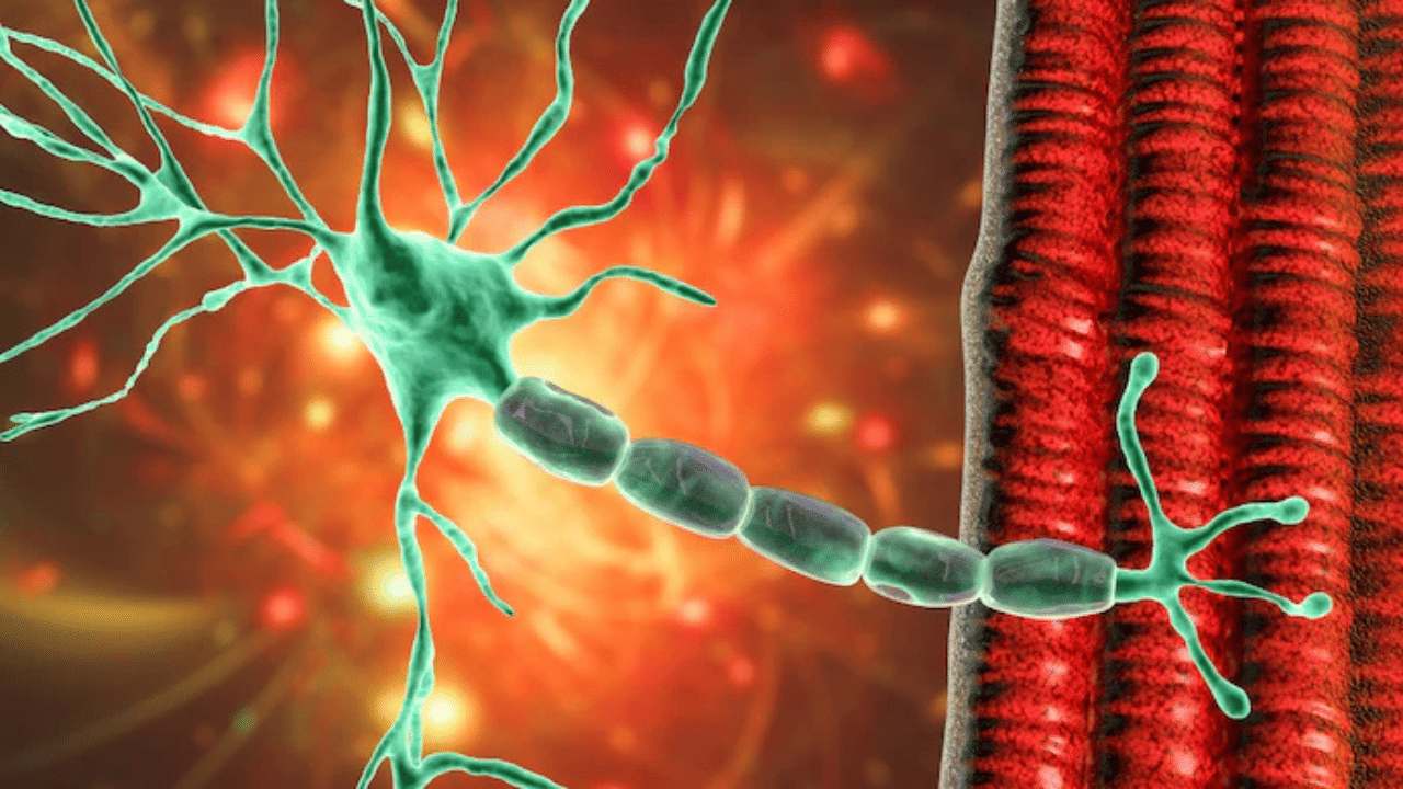 Guillain-Barre Syndrome: പുറത്ത് നിന്നുള്ള ഭക്ഷണം ഒഴിവാക്കുക; ഗില്ലൻ ബാരി സിൻഡ്രോമിന് കാരണമാകുന്നത് ഇവ, എയിംസ് ന്യൂറോളജിസ്റ്റ്