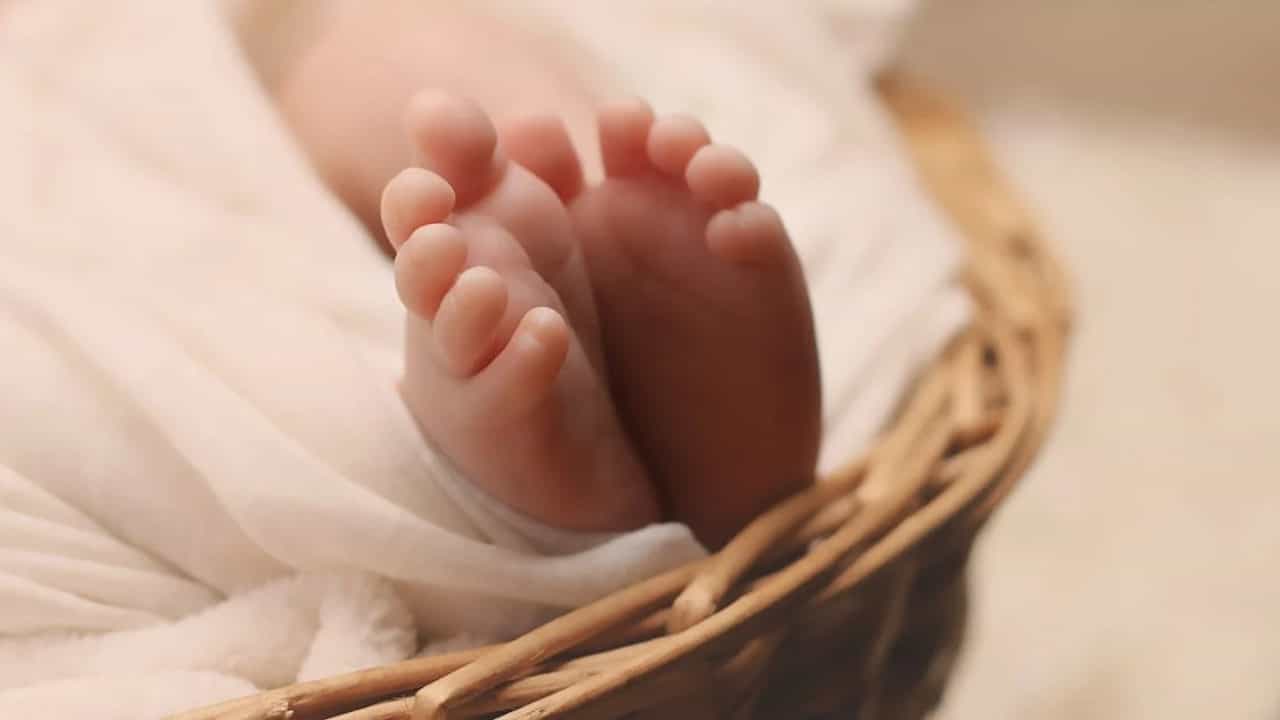 Newborns Death in Pathanamthitta: പ്രസവിച്ചശേഷം ചേമ്പിലയില്‍ പൊതിഞ്ഞ് കുഞ്ഞിനെ പുറത്തേക്ക് വലിച്ചെറിഞ്ഞു; അമ്മയ്ക്കെതിരെ കൊലക്കുറ്റം