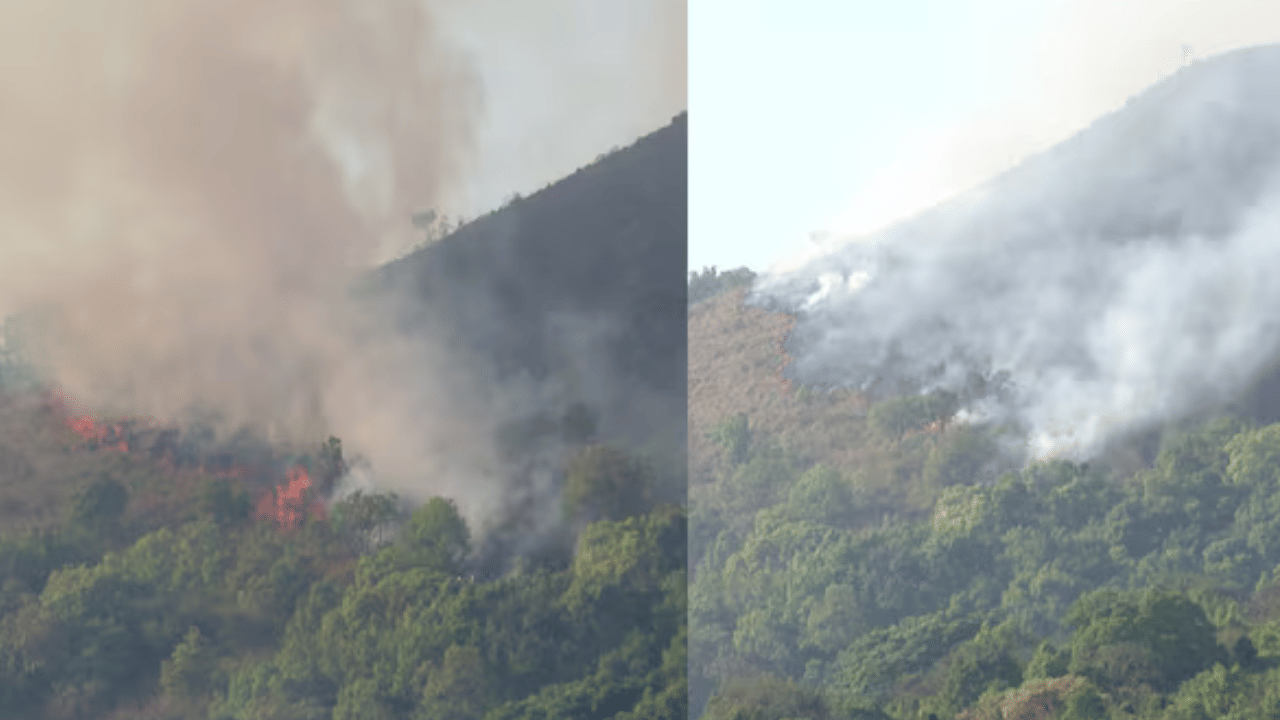 Kambamala Forest Fire: മാനന്തവാടിക്കടുത്ത് കമ്പമല വനമേഖലയിൽ തീപിടിത്തം: തീയണക്കാൻ ശ്രമം തുടരുന്നു