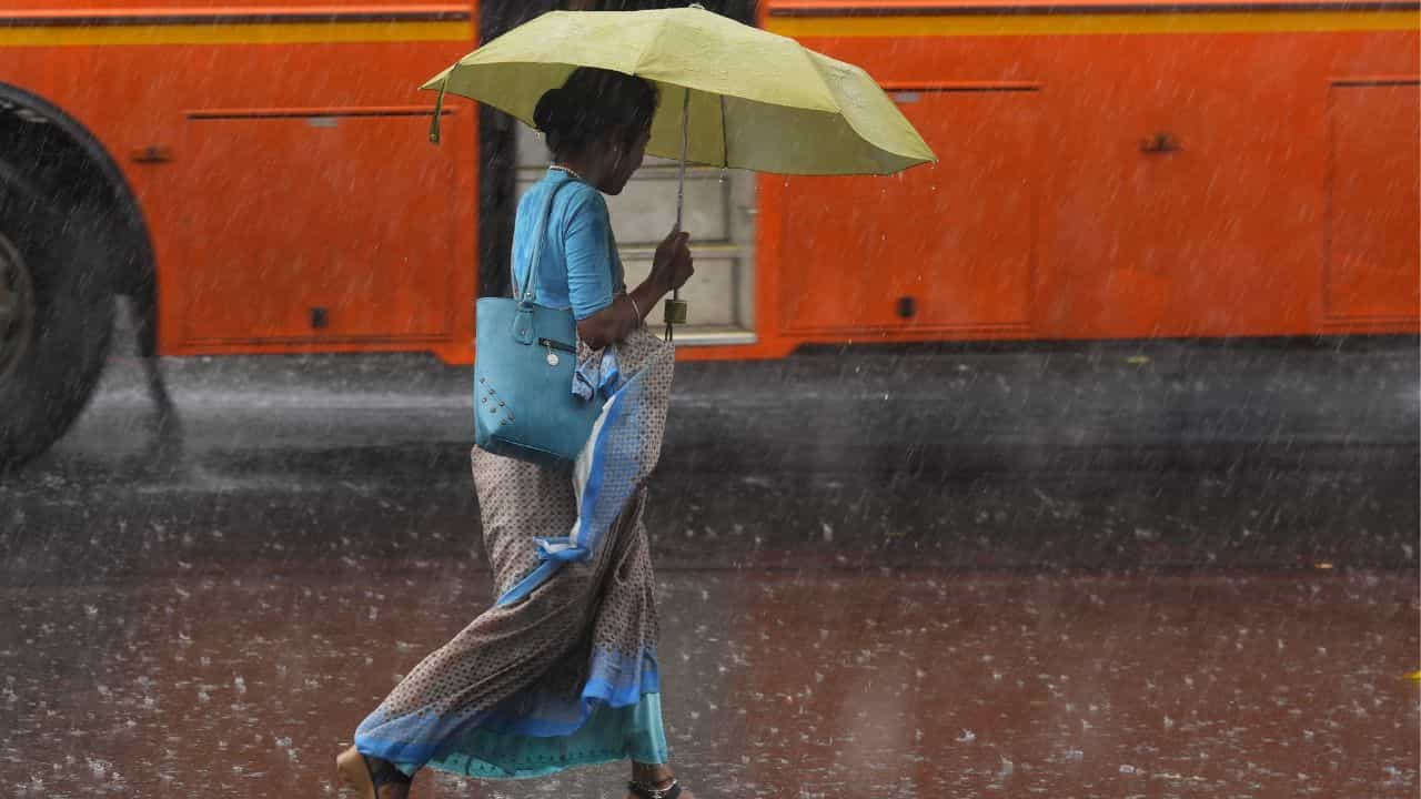 Kerala Weather Update : കുട കൈയ്യിൽ കരുതിക്കോളൂ; ഈ ആഴ്ച പെയ്യുമെന്ന് കാലാവസ്ഥ വകുപ്പ്