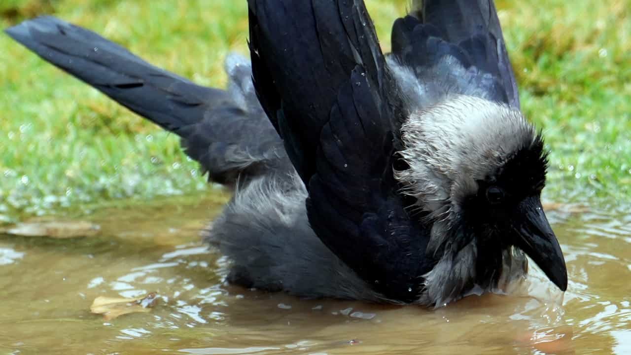 Kerala Weather Report: സംസ്ഥാനത്ത് ഇന്നും ചൂടൻ ദിനം; 2 മുതൽ മൂന്ന് ഡിഗ്രി വരെ താപനില ഉയരാൻ സാധ്യതയെന്ന് മുന്നറിയിപ്പ്