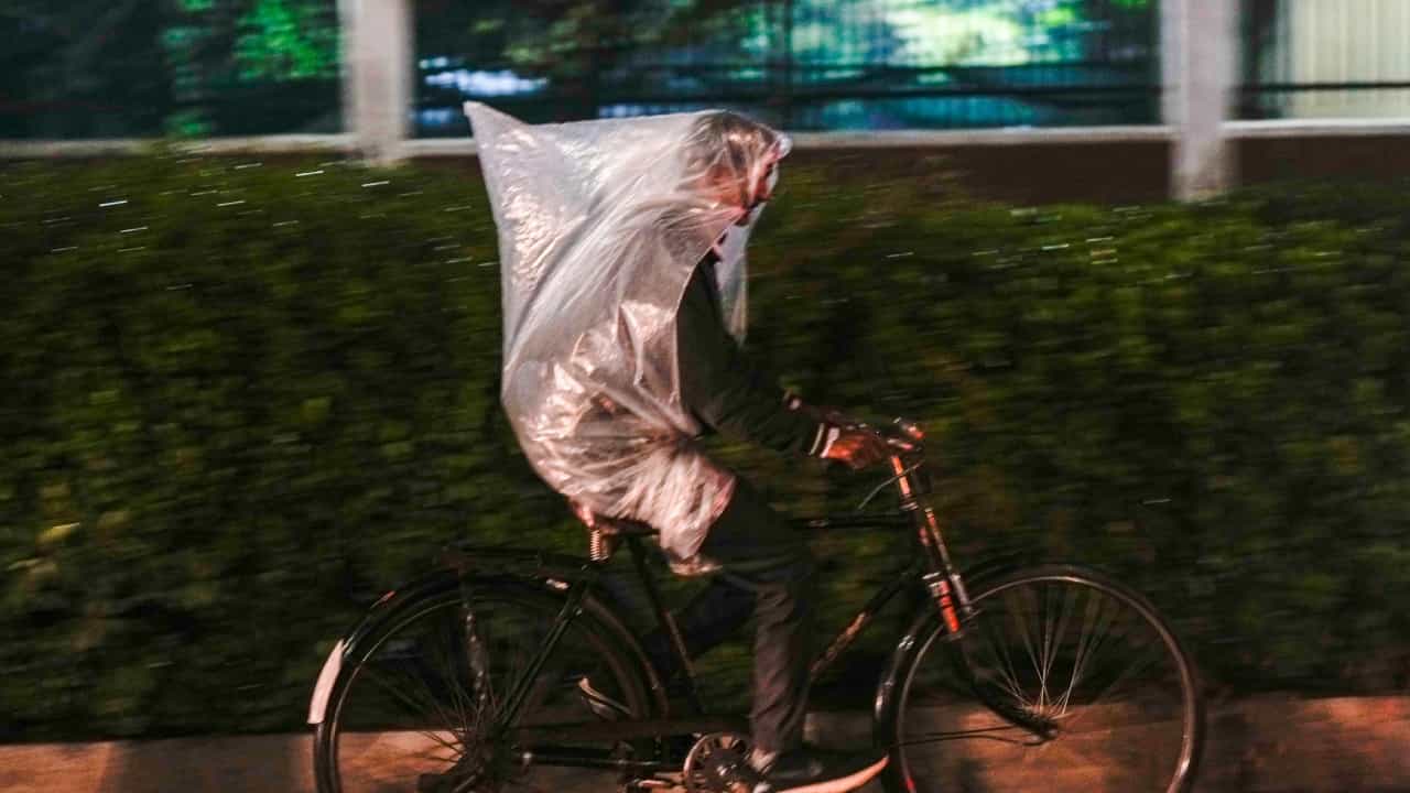 Kerala Weather Updates: നാല് ജില്ലകളിൽ ഇടിമിന്നലോട് കൂടിയ മഴയ്ക്ക് സാധ്യത; എങ്കിലും ചൂടിന് കുറവുണ്ടാവില്ലെന്ന് മുന്നറിയിപ്പ്