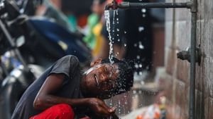 Kerala Weather Report: സംസ്ഥാനത്ത് ഇന്നും ചൂട് കൂടും; രണ്ട് മുതൽ മൂന്ന് ഡിഗ്രി വരെ താപനില വർധിക്കുമെന്ന് മുന്നറിയിപ്പ് Kerala Weather Report: സംസ്ഥാനത്ത് ഇന്നും ചൂട് കൂടും; രണ്ട് മുതൽ മൂന്ന് ഡിഗ്രി വരെ താപനില വർധിക്കുമെന്ന് മുന്നറിയിപ്പ്