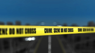 Supreme Court: മറ്റ് സംസ്ഥാനങ്ങളില്‍ നിന്ന് കേരളത്തിലേക്ക് നാട്ടാനകളെ കൊണ്ടുവരാം: സുപ്രീംകോടതി