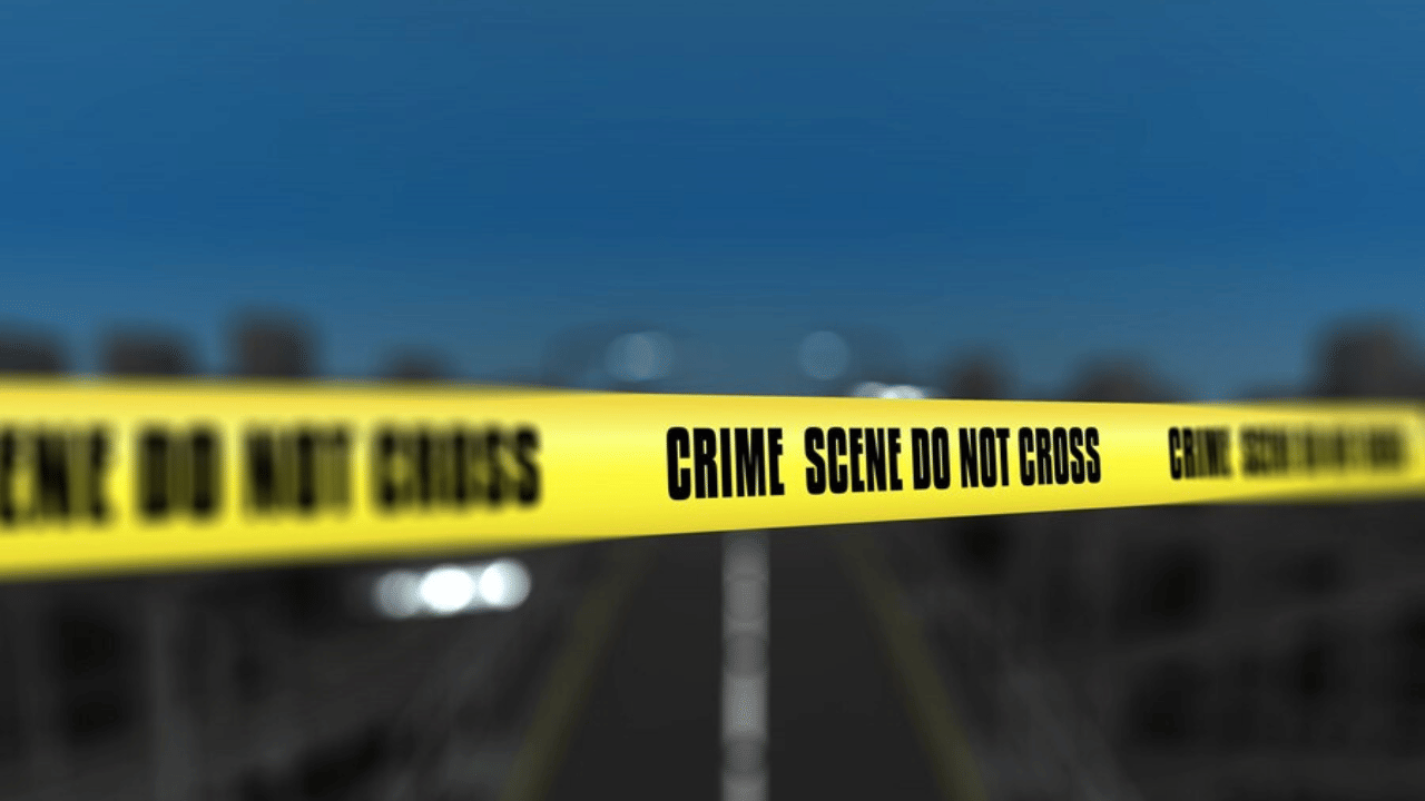 Crime News: മദ്യലഹരിയിൽ രാത്രി യുവതിയുമായി വീട്ടിലെത്തി; ചോദ്യംചെയ്ത സഹോദരിയെ വെട്ടി യുവാവ്, സംഭവം കോട്ടയത്ത്