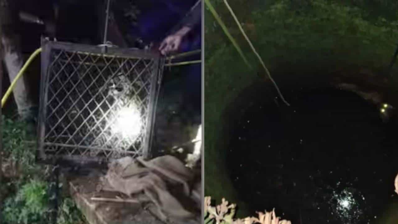Leopard Rescue Mission: ഏഴ് മണിക്കൂർ നീണ്ട പരിശ്രമം; നെല്ലിയാമ്പതിയിൽ കിണറ്റിൽ വീണ പുലിയെ പുറത്തെത്തിച്ചു Leopard Rescue Mission: ഏഴ് മണിക്കൂർ നീണ്ട പരിശ്രമം; നെല്ലിയാമ്പതിയിൽ കിണറ്റിൽ വീണ പുലിയെ പുറത്തെത്തിച്ചു