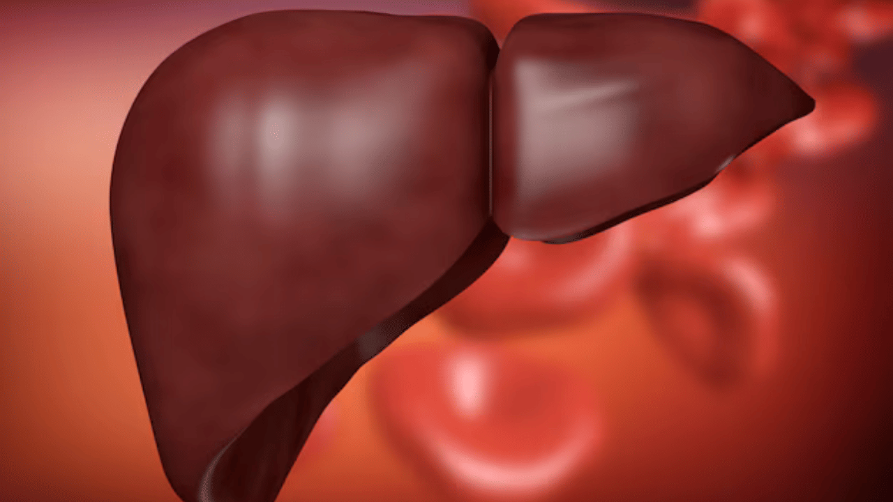  നമ്മുടെ ശരീരത്തിലെ ഏറ്റവും പ്രധാനപ്പെട്ട അവയവങ്ങളിൽ ഒന്നാണ് കരൾ. എന്നാൽ നമ്മൾ പലപ്പോഴും അതിനെ നിസ്സാരമായി കാണുന്നു. തിരക്കേറിയതും ഉദാസീനവുമായ ജീവിതശൈലിയും ആരോഗ്യകരമല്ലാത്ത ശീലങ്ങളും കാരണം കരൾ പ്രശ്നങ്ങൾ വർദ്ധിച്ചുകൊണ്ടിരിക്കുകയാണ്. കരളിന്റെ ആരോഗ്യത്തെ പിന്തുണയ്ക്കാൻ ധാരാളം ഭക്ഷണക്രമങ്ങൾ ഉണ്ട്. ഏതൊക്കെ പഴങ്ങളാണ് നിങ്ങളുടെ കരളിനെ ആരോ​ഗ്യത്തോടെ സംരക്ഷിക്കുന്നതെന്ന് നോക്കാം.
