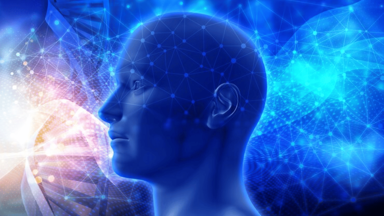 Memory Boosting: ഓര്‍മ്മശക്തി കൂട്ടാന്‍ സഹായിക്കുന്ന ചില ഭക്ഷണങ്ങൾ ഇതാ