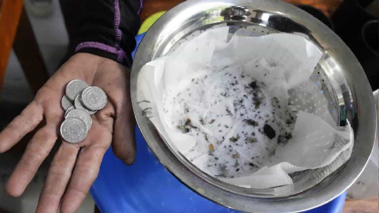 Anti-Dengue Campaign: കൊതുകിനെ ജീവനോനോടെയോ കൊന്നോ നൽകാം; പാരിതോഷികം ഉറപ്പ്; ഡെങ്കിപ്പനിയെ നേരിടാന്‍ വ്യത്യസ്ത മാര്‍ഗം സ്വീകരിച്ച് ഒരു ​ഗ്രാമം