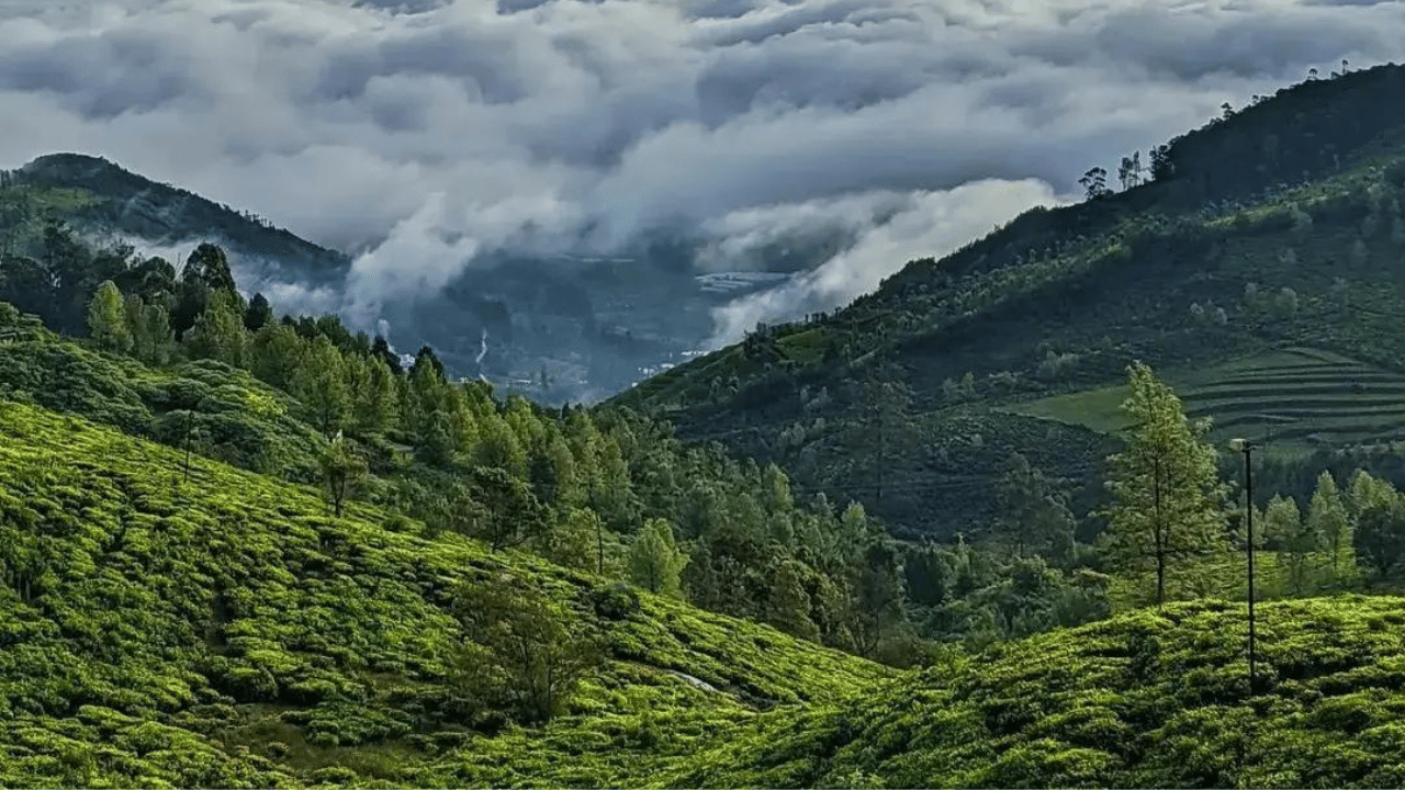 Thiruvananthapuram to Ooty Trip: 1500 രൂപയുണ്ടോ കൈയിൽ? എങ്കിൽ ഊട്ടിക്ക് വിട്ടാലോ; കെഎസ്ആർടിസിയുടെ കിടിലൻ പാക്കേജ് ഇതാ Thiruvananthapuram to Ooty Trip: 1500 രൂപയുണ്ടോ കൈയിൽ? എങ്കിൽ ഊട്ടിക്ക് വിട്ടാലോ; കെഎസ്ആർടിസിയുടെ കിടിലൻ പാക്കേജ് ഇതാ