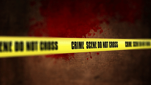 Son Killed Mother: ഭാര്യയെ ആക്രമിക്കുന്നത് തടഞ്ഞു; അമ്മയെ തലയ്ക്കടിച്ച് കൊലപ്പെടുത്തി മകൻ