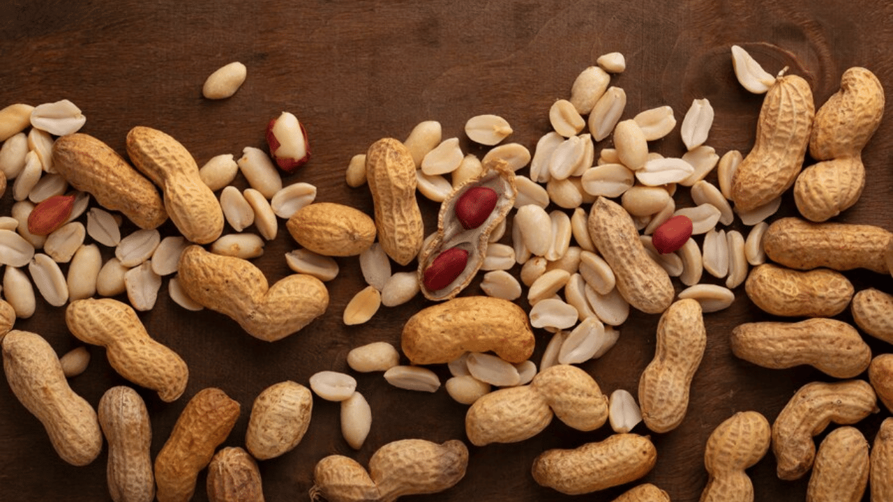 Peanuts: പതിവായി നിലക്കടല കഴിക്കുന്നവരാണോ നിങ്ങൾ? എങ്കിൽ ഇത് അറിഞ്ഞിരിക്കണം